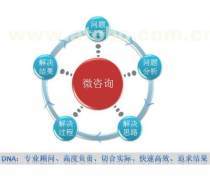 企業(yè)管理信息咨詢服務(wù) 驅(qū)動企業(yè)可持續(xù)發(fā)展的關(guān)鍵力量